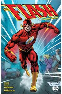 Flash by Mark Waid Book Three