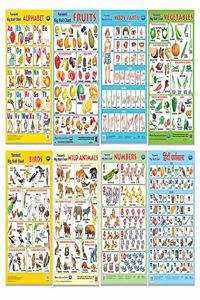 Navneet Navneet Big Wall Charts