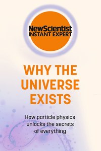 Why the Universe Exists