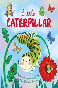 Nature Stories: Little Caterpillar