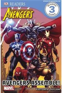 Marvel Avengers Avengers Assemble!