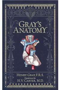 Gray's Anatomy (Barnes & Noble Omnibus Leatherbound Classics)