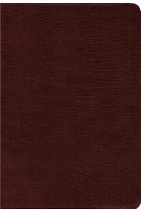 Amplified Holy Bible, Bonded Leather, Burgundy