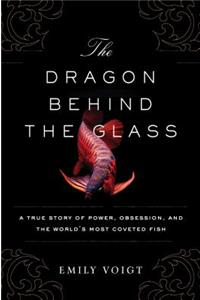 The Dragon Behind the Glass