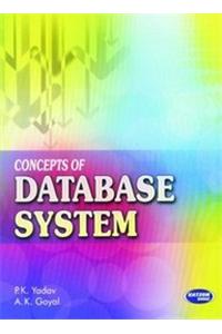 Concepts of Database System