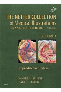 Netter Collection of Medical Illustrations: Reproductive System