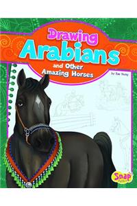 Drawing Arabians and Other Amazing Horses