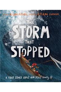 The Storm That Stopped Storybook