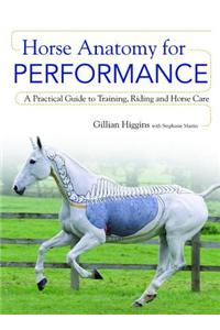 Horse Anatomy for Performance