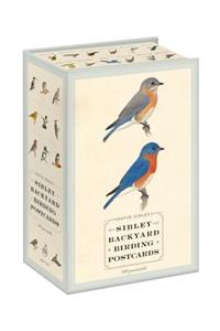 Sibley Backyard Birding Postcards
