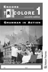Encore Tricolore Nouvelle Edition 1 Grammar in Action