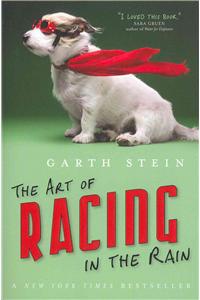 The Art of Racing in the Rain