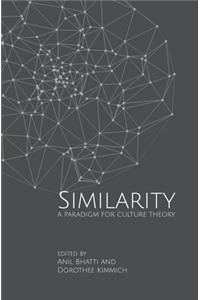 Similarities – A Paradigm for Culture Theory