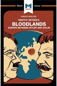 Analysis of Timothy Snyder's Bloodlands