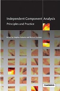 Independent Component Analysis