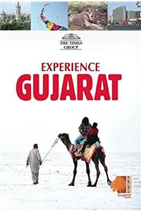 Experience Gujarat