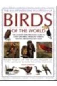 Illustrated Encyclopedia of Birds World