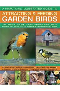 A Practical Illustrated Guide to Attracting & Feeding Garden Birds