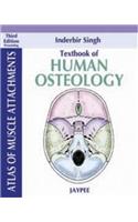 Textbook of Human Osteology
