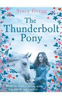 The Thunderbolt Pony