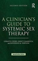 CLINICIANS GUIDE TO SYSTEMIC SEX THERAPY