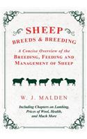 Sheep Breeds and Breeding - A Concise Overview of the Breeding, Feeding and Management of Sheep, Including Chapters on Lambing, Prices of Wool, Health, and Much More