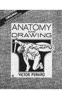 Anatomy & Drawing