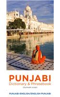 Punjabi-English/English-Punjabi Dictionary & Phrasebook