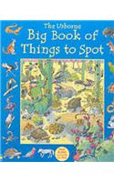 Big Book of Things to Spot