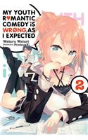 My Youth Romantic Comedy Is Wrong, as I Expected, Vol. 2 (Light Novel)