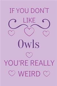 If You Don't Like Owls You're Really Weird