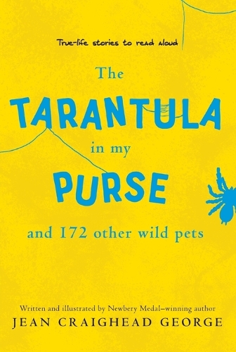 Tarantula in My Purse