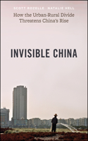 Invisible China