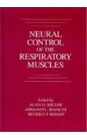 Neural Control of the Respiratory Muscles