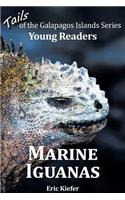 Marine Iguanas - Tails of the Galapagos Islands Series