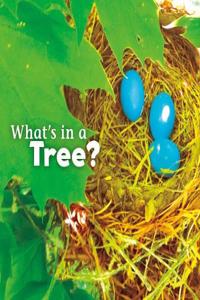 What's in a Tree?: (What's In There?)