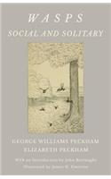 Wasps - Social and Solitary;With an Introduction by John Burroughs - Illustrated by James H. Emerton