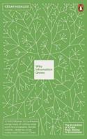 Why Information Grows