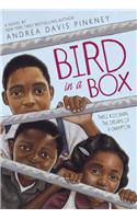 Bird in a Box