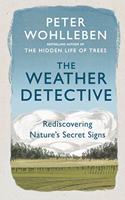 The Weather Detective