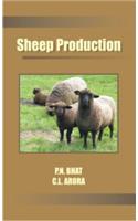 Sheep Production