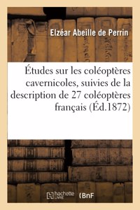 Études Sur Les Coléoptères Cavernicoles