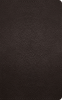 ESV Large Print Personal Size Bible, Red Letter