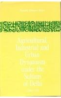 Agricultural, Industrial & Urban Dynamism Under the Sultans of Delhi, 1206-1555