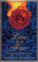 Love Is a Fire