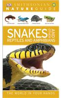 Nature Guide: Snakes and Other Reptiles and Amphibians