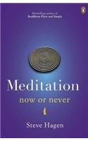 Meditation Now or Never