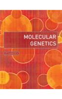 BMS: Molecular Genetics