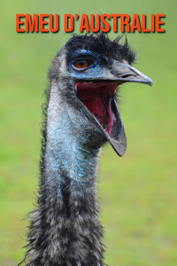 Emeu d'Australie