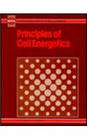 Cell Energetics, Principles of